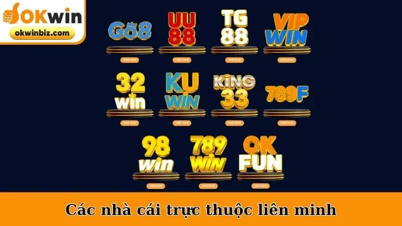 Các nhà cái trực thuộc hệ thống liên minh