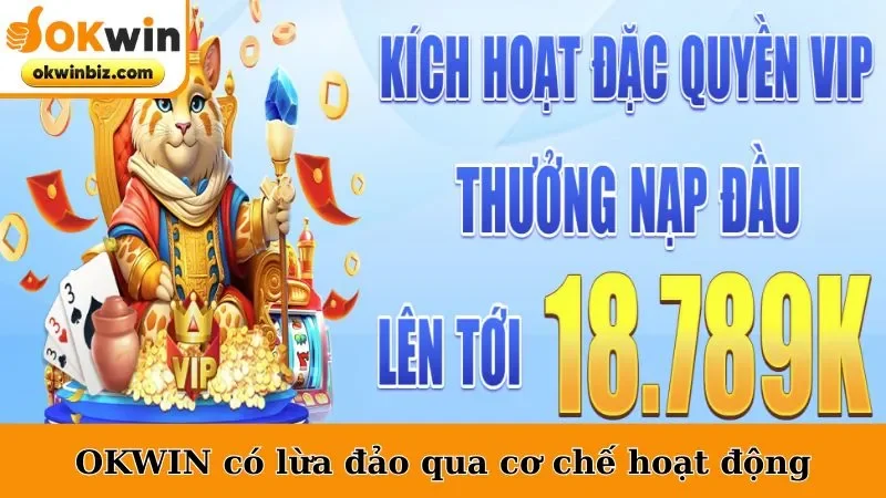 Công ty OKWIN có lừa đảo qua cơ chế hoạt động