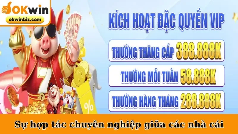 Sự hợp tác chuyên nghiệp giữa các nhà cái