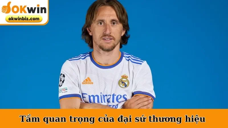 Tầm quan trọng của đại sứ thương hiệu 